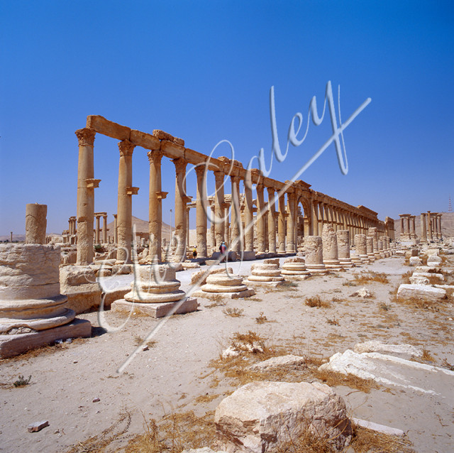 SYRIE-PALMYRE-012