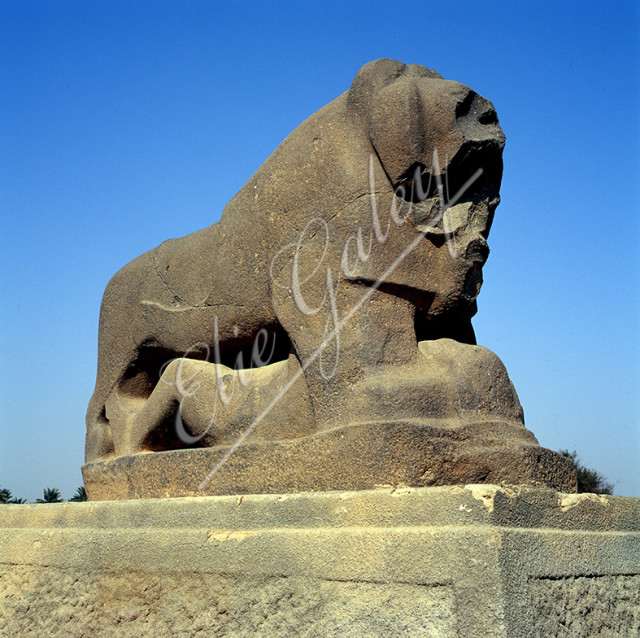 IRAK-BABYLONE-043