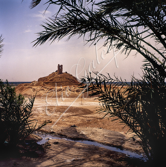 IRAK-BABYLONE-060